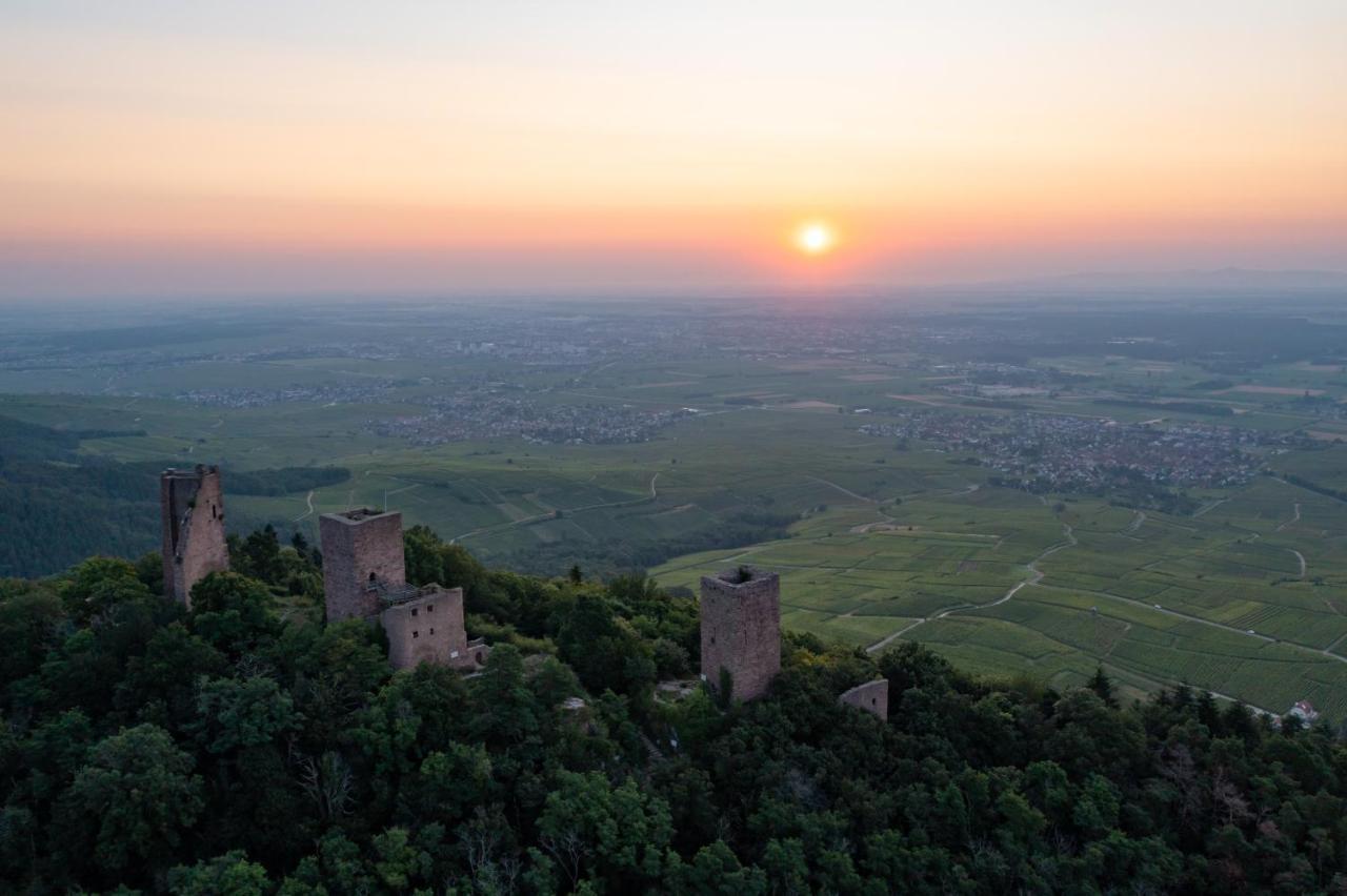Studio Des 3 Chateaux Husseren-les-Châteaux Dış mekan fotoğraf